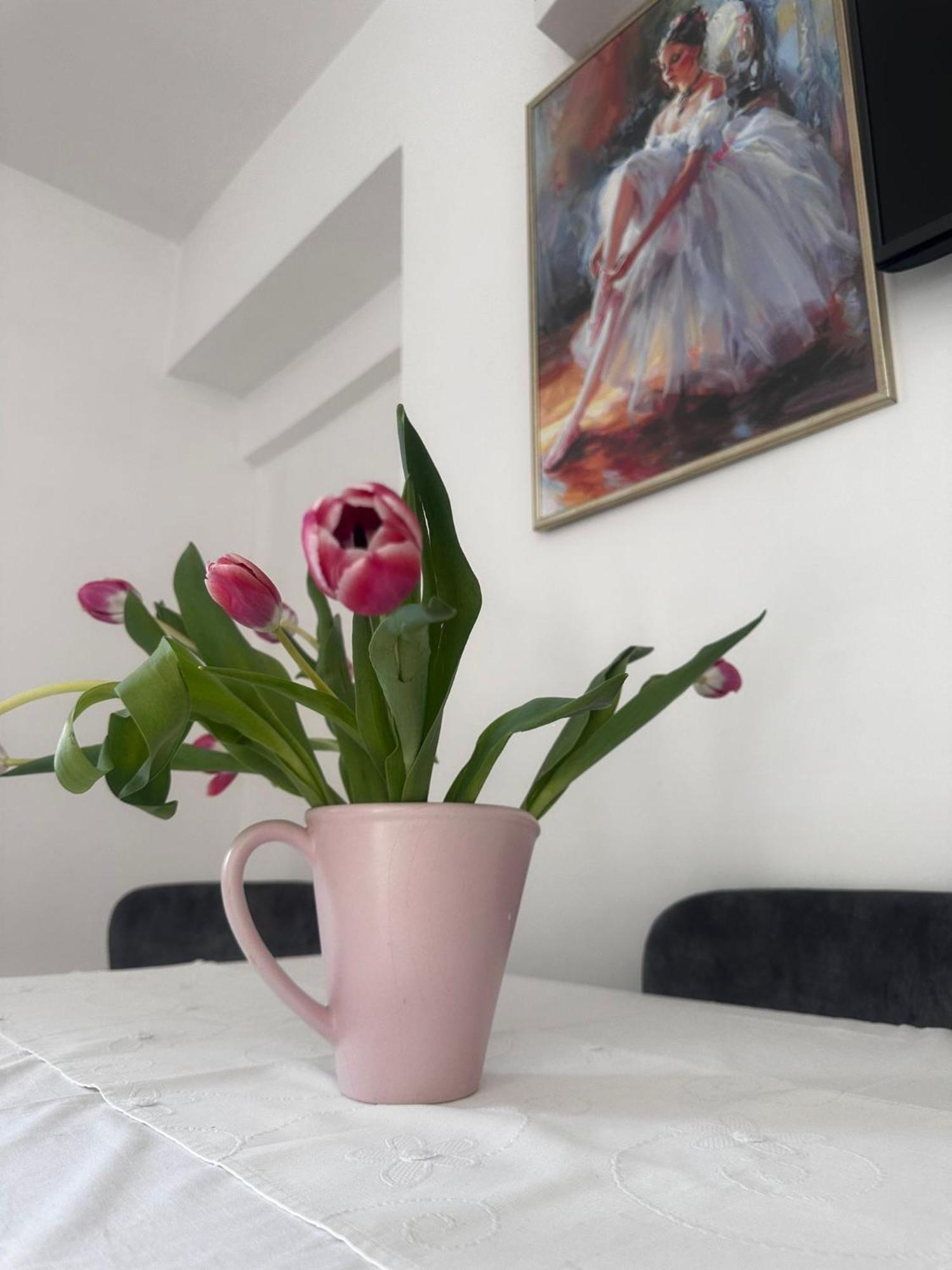Apartment Jelena *