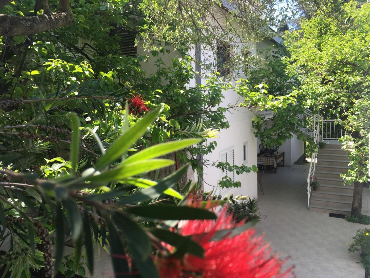Jelena Herceg Novi